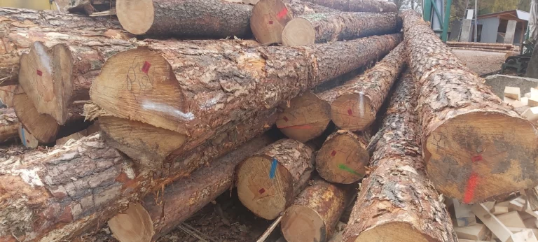 drewno-tartak-olesno